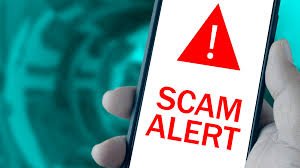 ProDivia Group Scam Warning