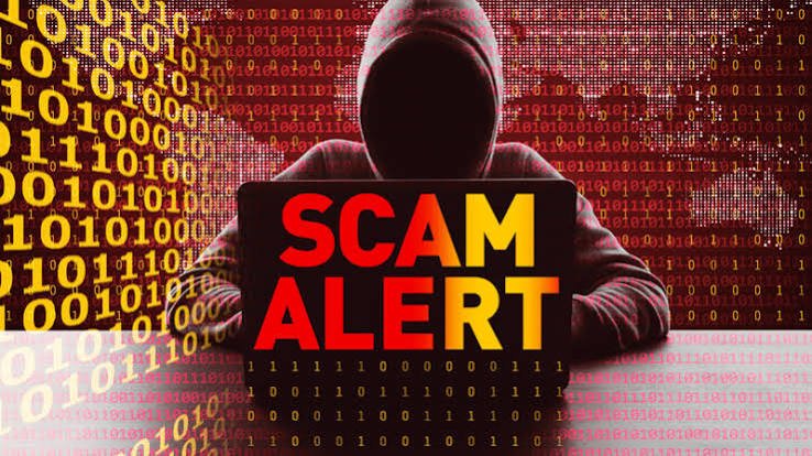 Tradexine Scam Warning